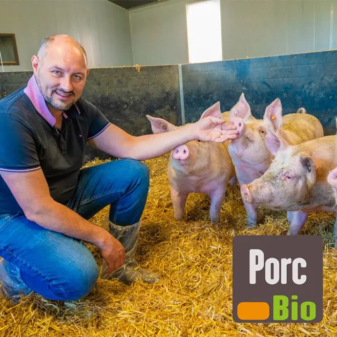 Porcs bio de ferme Porcs bio de ferme